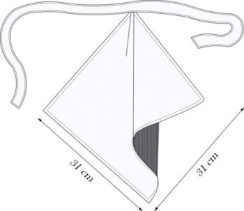 accesorios cinturon SASH vector