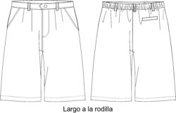 bermuda caballero BER234C00P005 vector