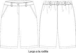 bermuda dama BER238D00P005 vector