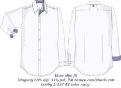 camisa casuales y ejecutivos casuales CA109C00C2P043 vector