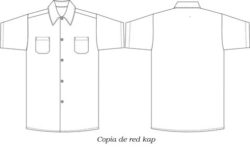 camisa hoteleria camarista y servicios CA479C01P019 vector