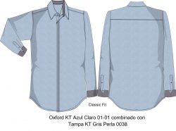 camisa ejecutiva CA113C00C2 vector