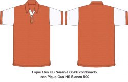 playera tipo polo PL419C07C1 vector