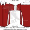 camisa racing automotriz CA520C00C2B006 vector